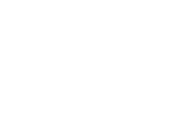 the bull logo