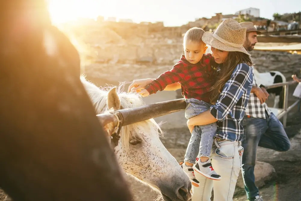 Mother and son petting horse 